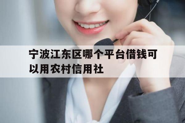 宁波江东区哪个平台借钱可以用农村信用社